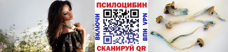 гидра маркетплейс Шелехов Псилоцибиновые грибы Psilocybe